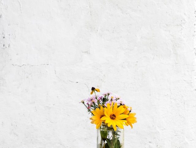 yellow sun flowers in front of white wallpaper
